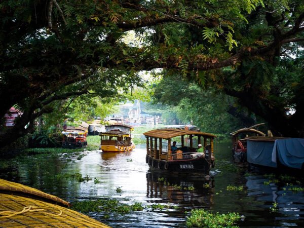 ALAPPUZHA MUNNAR 1 NIGHT 2DAYS